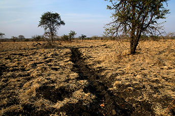 Zambia