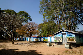 Zambia