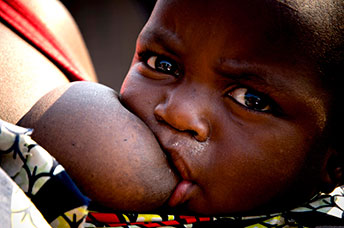 Zambia